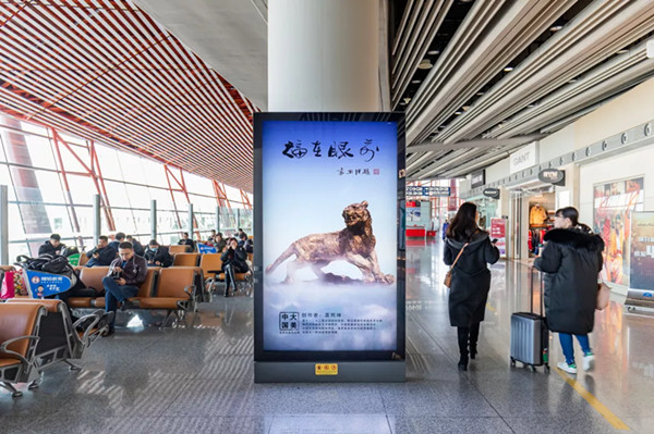 大美中國藝術(shù)展機(jī)場廣告投放案例