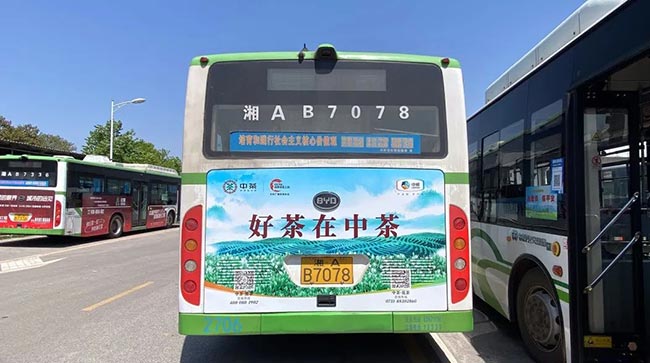 中茶長沙公交車廣告3