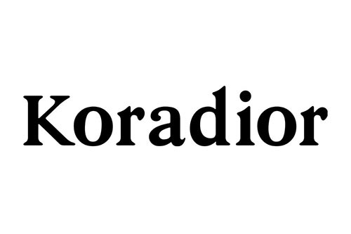 koradior--深圳機(jī)場(chǎng)廣告投放案例