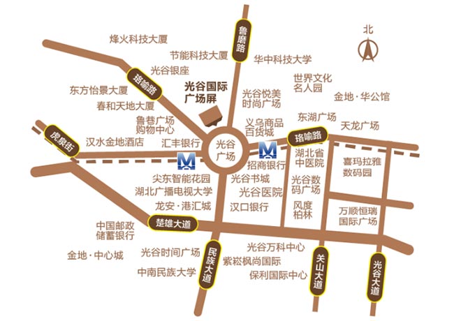 光谷國(guó)際廣場(chǎng)區(qū)位圖