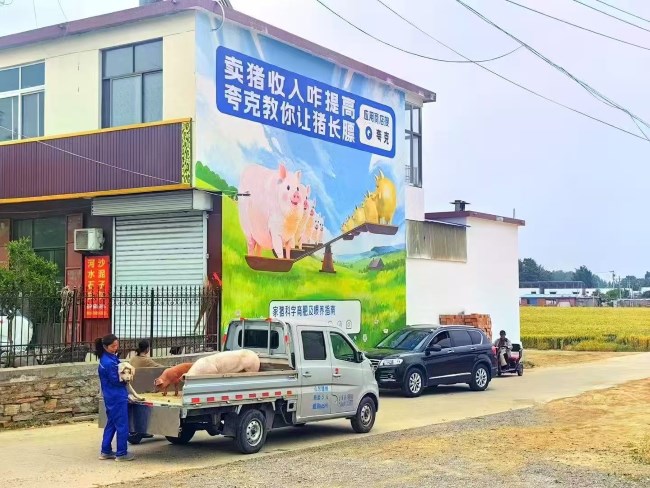 如何結(jié)合方言和文化元素設(shè)計(jì)刷墻廣告？